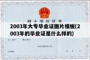 2003年大专毕业证图片模板(2003年的毕业证是什么样的)