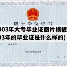 2003年大专毕业证图片模板(2003年的毕业证是什么样的)