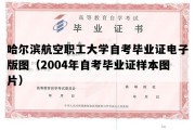 哈尔滨航空职工大学自考毕业证电子版图（2004年自考毕业证样本图片）