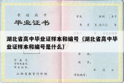 湖北省高中毕业证样本和编号（湖北省高中毕业证样本和编号是什么）