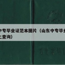 山东中专毕业证范本图片（山东中专毕业证查询网上查询）