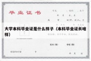 大学本科毕业证是什么样子（本科毕业证长啥样）