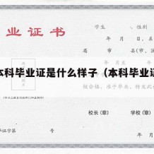 大学本科毕业证是什么样子（本科毕业证长啥样）