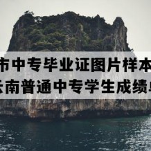 昆明市中专毕业证图片样本(2004年云南普通中专学生成绩单）