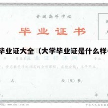 大学毕业证大全（大学毕业证是什么样子的?）