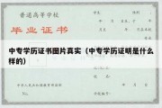 中专学历证书图片真实（中专学历证明是什么样的）