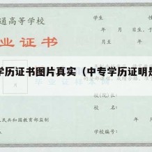 中专学历证书图片真实（中专学历证明是什么样的）