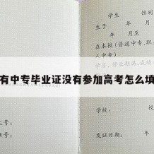 有中专毕业证没有参加高考怎么填