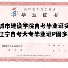 沈阳城市建设学院自考毕业证实拍图片（辽宁自考大专毕业证P图多少钱）