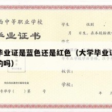 大学毕业证是蓝色还是红色（大学毕业证都是红色的吗）