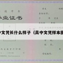 高中文凭长什么样子（高中文凭样本图片）