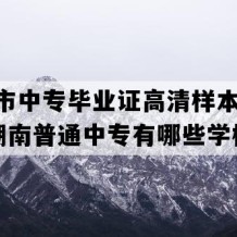 邵东市中专毕业证高清样本(1994年湖南普通中专有哪些学校)