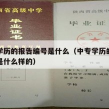 中专学历的报告编号是什么（中专学历的报告编号是什么样的）