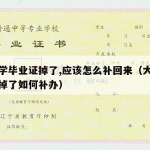 我大学毕业证掉了,应该怎么补回来（大学毕业证掉了如何补办）