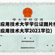 上海应用技术大学学位证图片样本(上海应用技术大学2021学位)