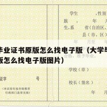 大学毕业证书原版怎么找电子版（大学毕业证书原版怎么找电子版图片）