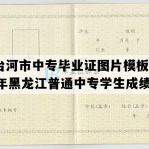 七台河市中专毕业证图片模板(1991年黑龙江普通中专学生成绩单）