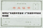 如何补广东省高中毕业证（广东省高中毕业证样本图）