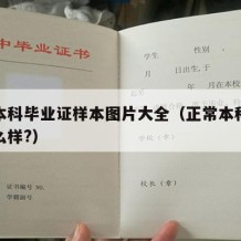 正规本科毕业证样本图片大全（正常本科毕业证什么样?）