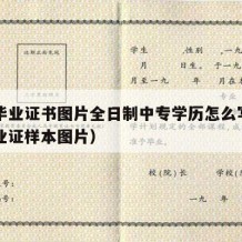 中专毕业证书图片全日制中专学历怎么写（中专毕业证样本图片）