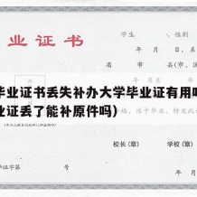 大学毕业证书丢失补办大学毕业证有用吗（大学毕业证丢了能补原件吗）