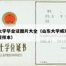 山东大学毕业证图片大全（山东大学威海分校毕业证样本）