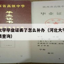 河北大学毕业证丢了怎么补办（河北大学毕业生成绩查询）