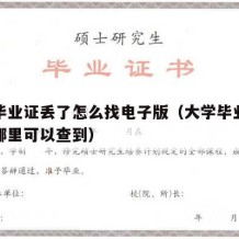 大学毕业证丢了怎么找电子版（大学毕业证丢了在哪里可以查到）