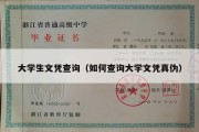 大学生文凭查询（如何查询大学文凭真伪）