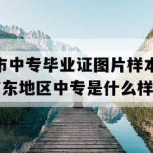 台山市中专毕业证图片样本(1991年广东地区中专是什么样子的）