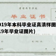 2019年本科毕业证高清样图(2019年毕业证图片)