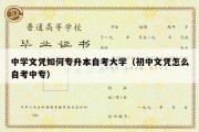 中学文凭如何专升本自考大学（初中文凭怎么自考中专）