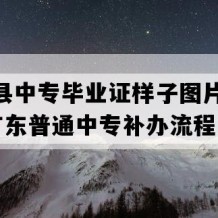 始兴县中专毕业证样子图片(1994年广东普通中专补办流程）