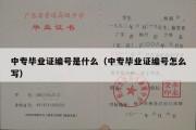 中专毕业证编号是什么（中专毕业证编号怎么写）