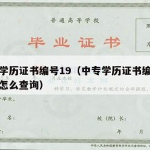 中专学历证书编号19（中专学历证书编号忘记了怎么查询）