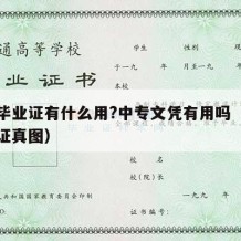 中专毕业证有什么用?中专文凭有用吗（中专毕业证真图）