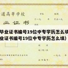 中专毕业证书编号19位中专学历怎么填（中专毕业证书编号19位中专学历怎么填）