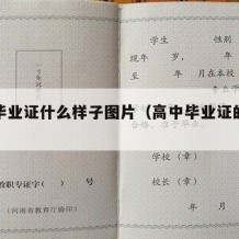 高中毕业证什么样子图片（高中毕业证的样本图片）