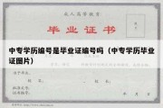 中专学历编号是毕业证编号吗（中专学历毕业证图片）