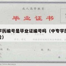 中专学历编号是毕业证编号吗（中专学历毕业证图片）