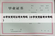 小学文凭可以考大专吗（小学文凭能考大专吗）