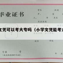 小学文凭可以考大专吗（小学文凭能考大专吗）