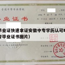 中专毕业证快速拿证安徽中专学历认可吗（安徽中专毕业证书图片）