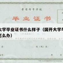 国开大学毕业证书什么样子（国开大学毕业证丢了怎么办）