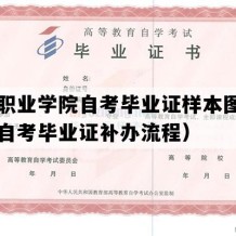 山东职业学院自考毕业证样本图片（山东自考毕业证补办流程）