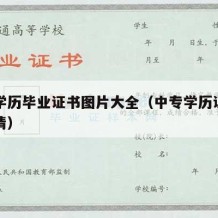 中专学历毕业证书图片大全（中专学历证书图片高清）