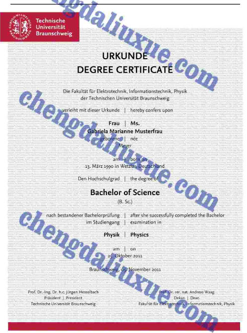 布伦瑞克工业大学毕业证图片模板(德国大学毕业证专业定制)