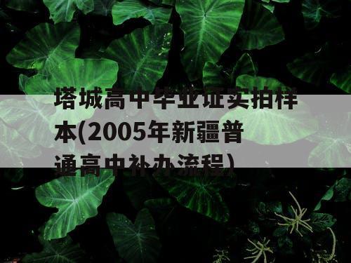 塔城高中毕业证实拍样本(2005年新疆普通高中补办流程）