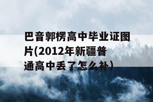 巴音郭楞高中毕业证图片(2012年新疆普通高中丢了怎么补）