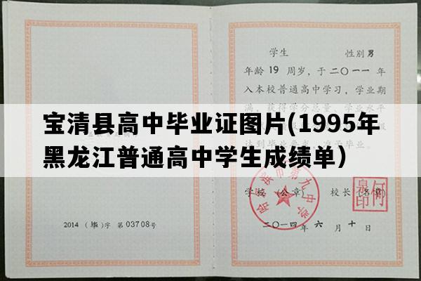 宝清县高中毕业证图片(1995年黑龙江普通高中学生成绩单）